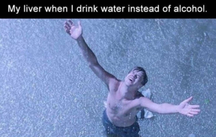 Truthful Memes (23 pics)