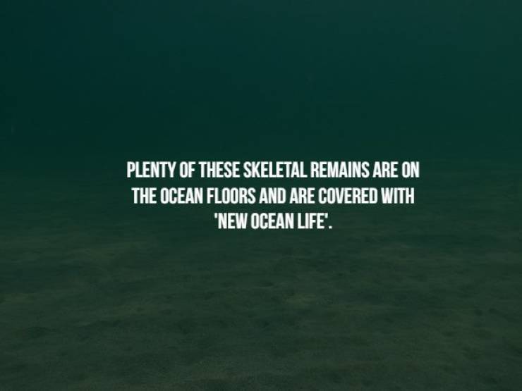 Creepy Facts (17 pics)