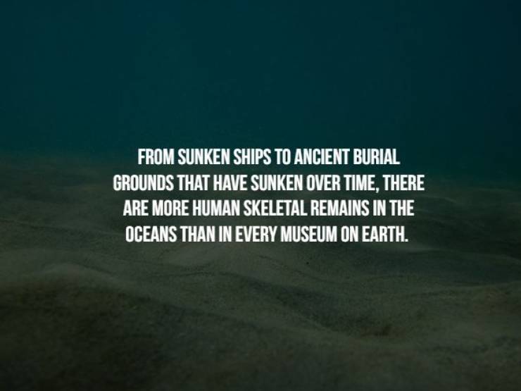 Creepy Facts (17 pics)