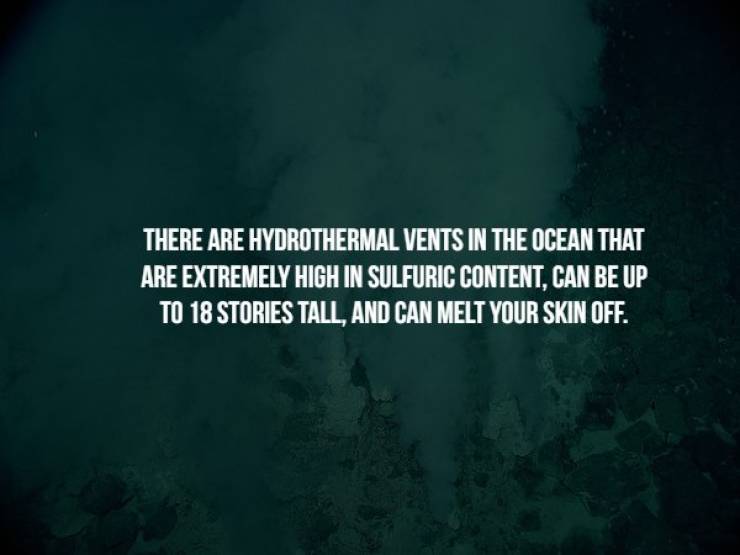 Creepy Facts (17 pics)