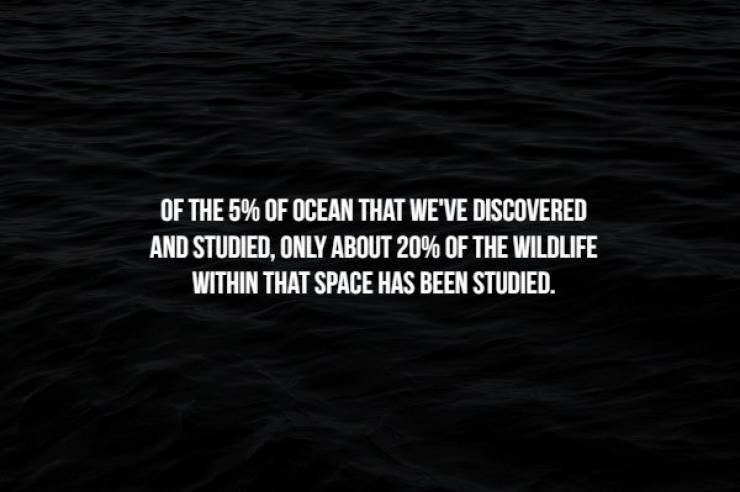 Creepy Facts (17 pics)