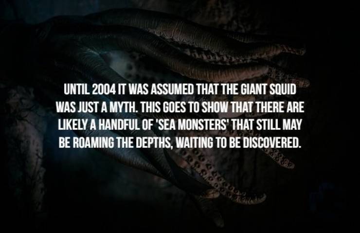 Creepy Facts (17 pics)