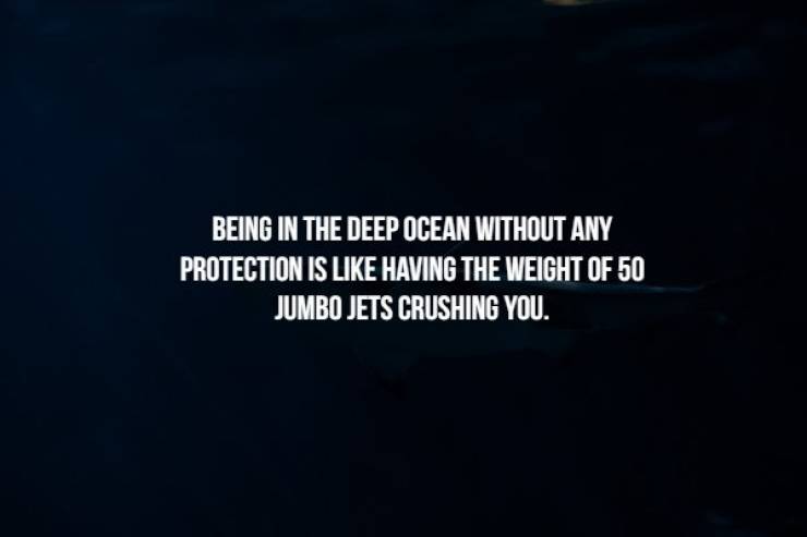Creepy Facts (17 pics)