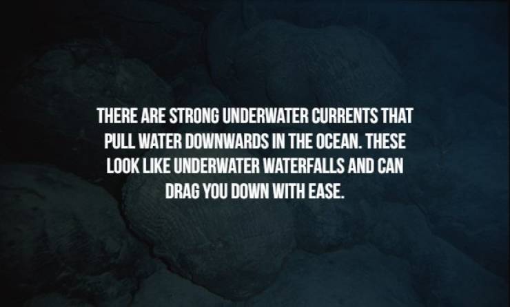 Creepy Facts (17 pics)
