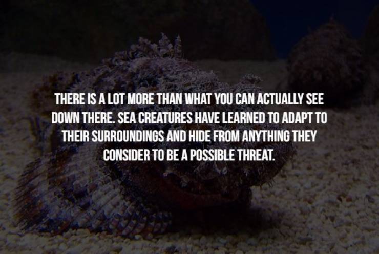 Creepy Facts (17 pics)