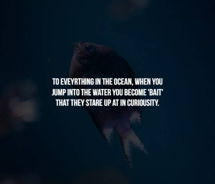 Creepy Facts (17 pics)