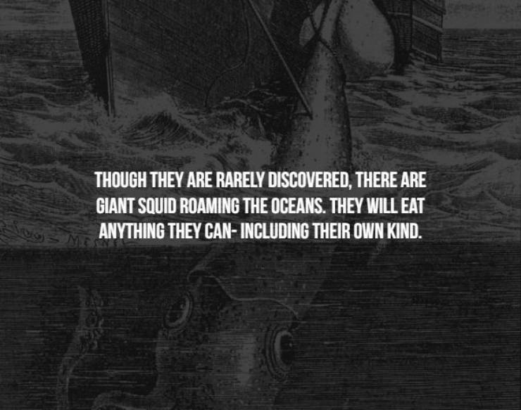 Creepy Facts (17 pics)