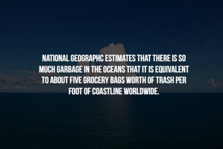 Creepy Facts (17 pics)