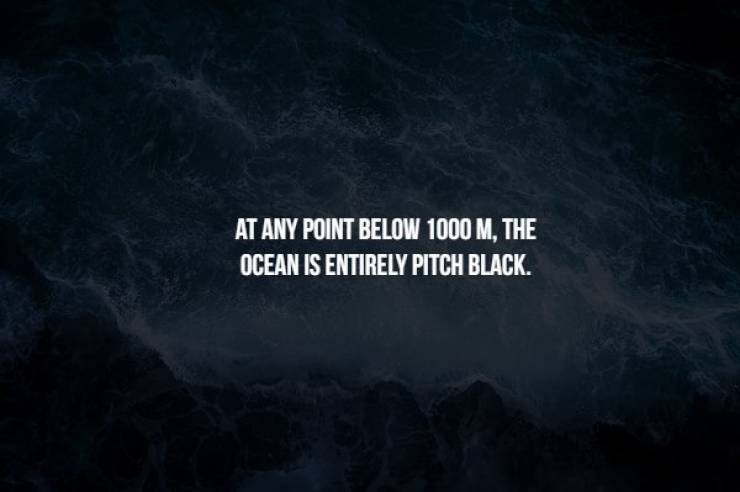 Creepy Facts (17 pics)