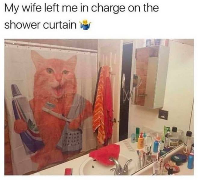 Memes About Relationships (21 pics) Memes About Relationships (21 pics)