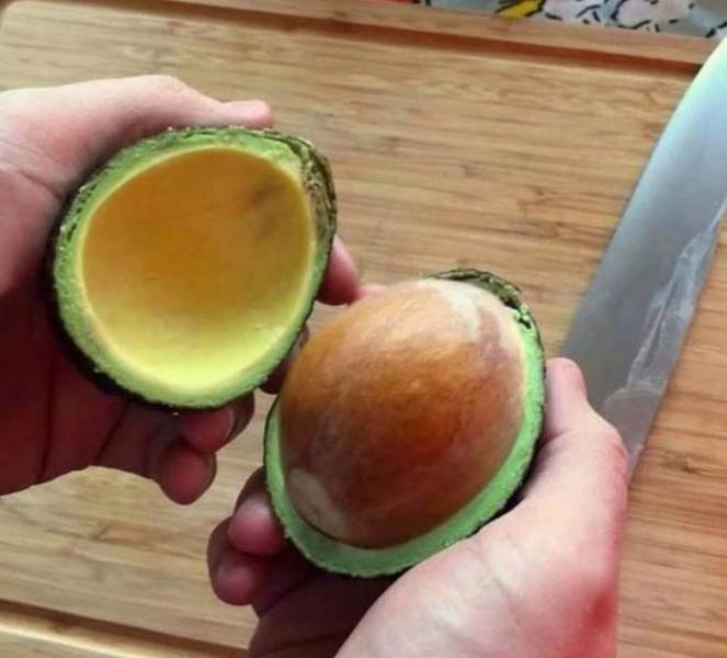 Bad Days Happen (27 pics) Bad Days Happen (27 pics)