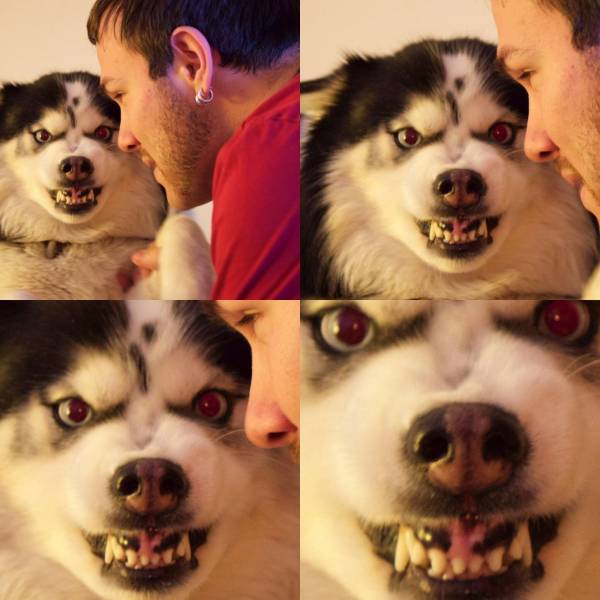 Bad Days Happen (27 pics) Bad Days Happen (27 pics)