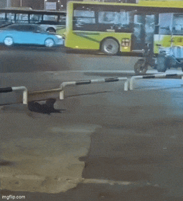 Acid GIFs, April 15 (25 gifs)