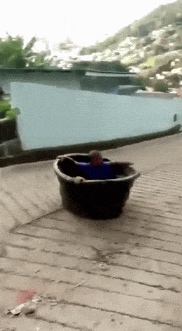 Acid GIFs, April 15 (25 gifs)