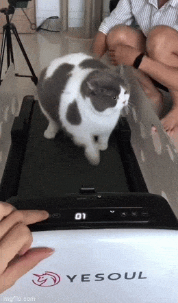 Acid GIFs, April 15 (25 gifs)