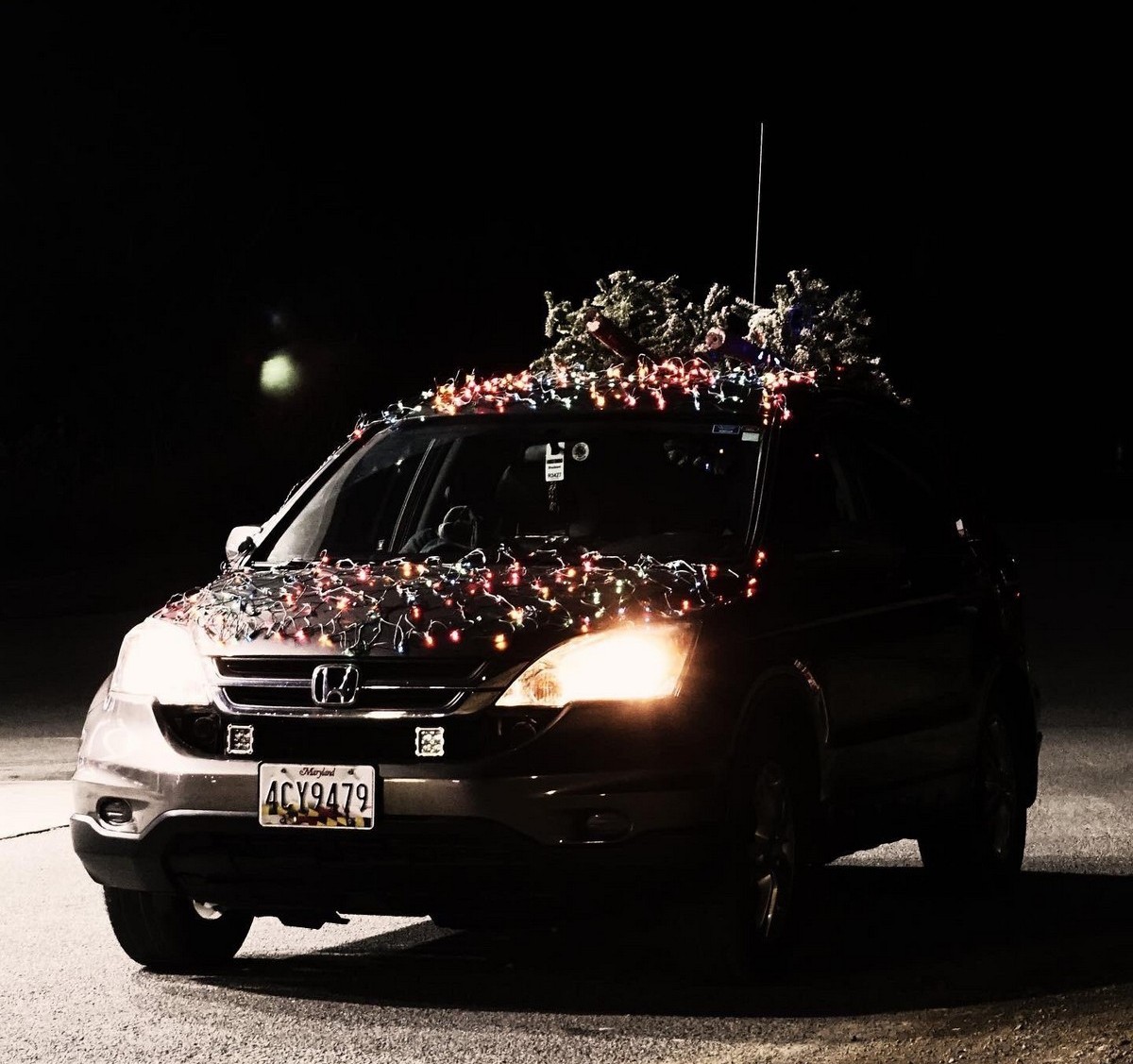 Crazy Cars (25 pics)