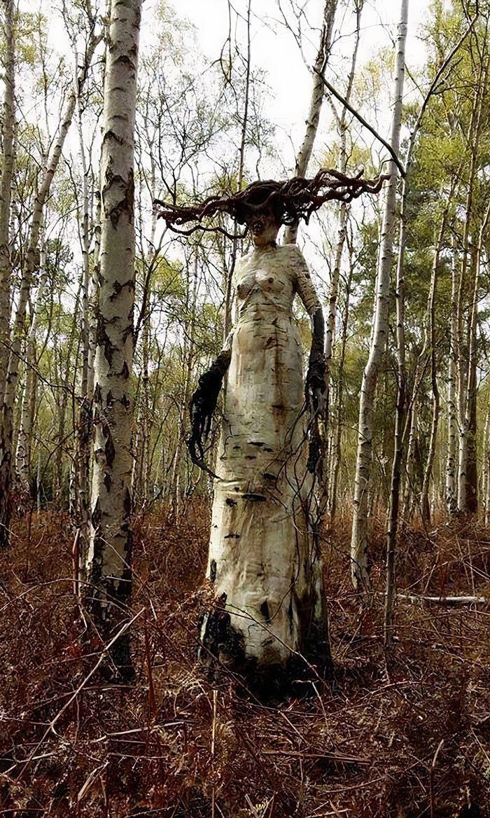 Unusual Finds In The Forests (27 pics)