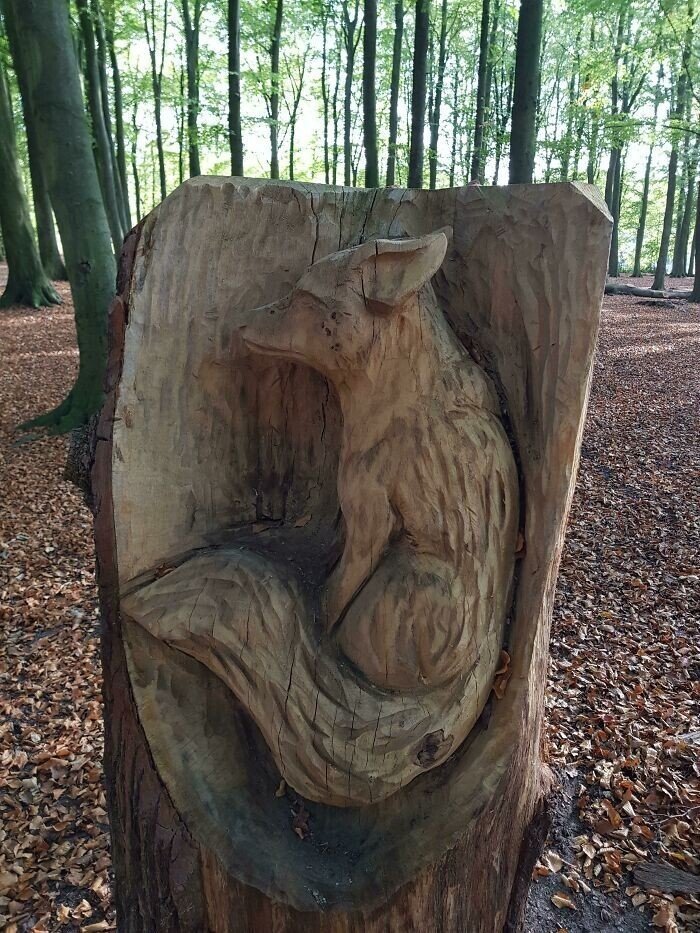 Unusual Finds In The Forests (27 pics)
