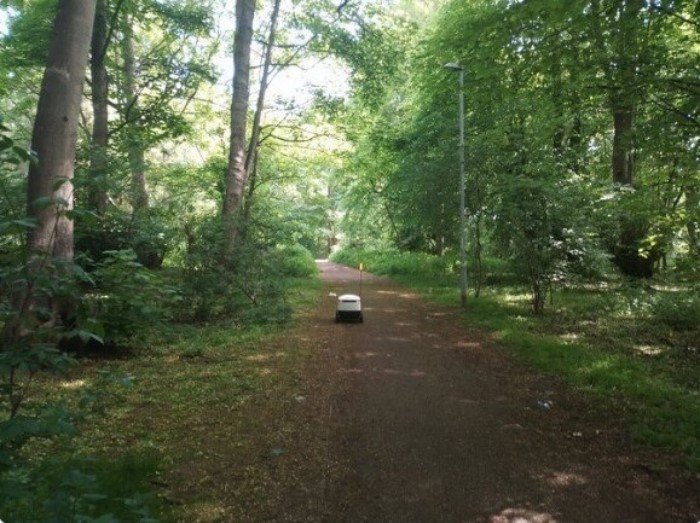 Unusual Finds In The Forests (27 pics)