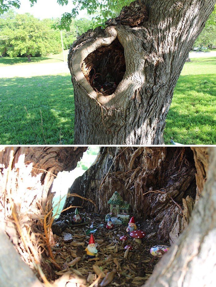 Unusual Finds In The Forests (27 pics)