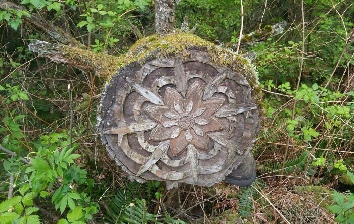Unusual Finds In The Forests (27 pics)