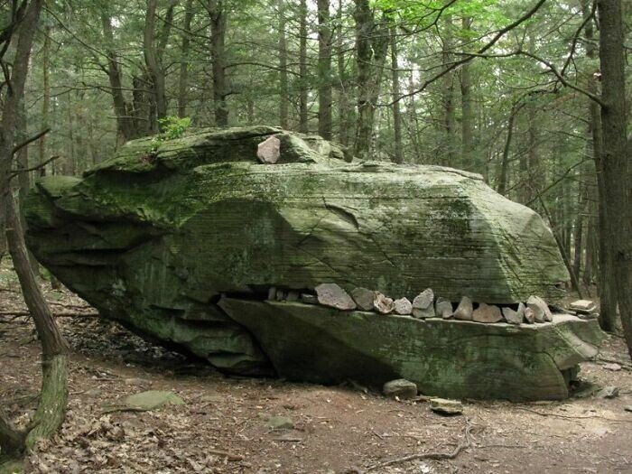 Unusual Finds In The Forests (27 pics)