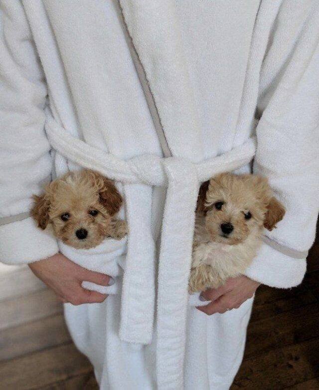 Funny Animals (21 pics) Funny Animals (21 pics)