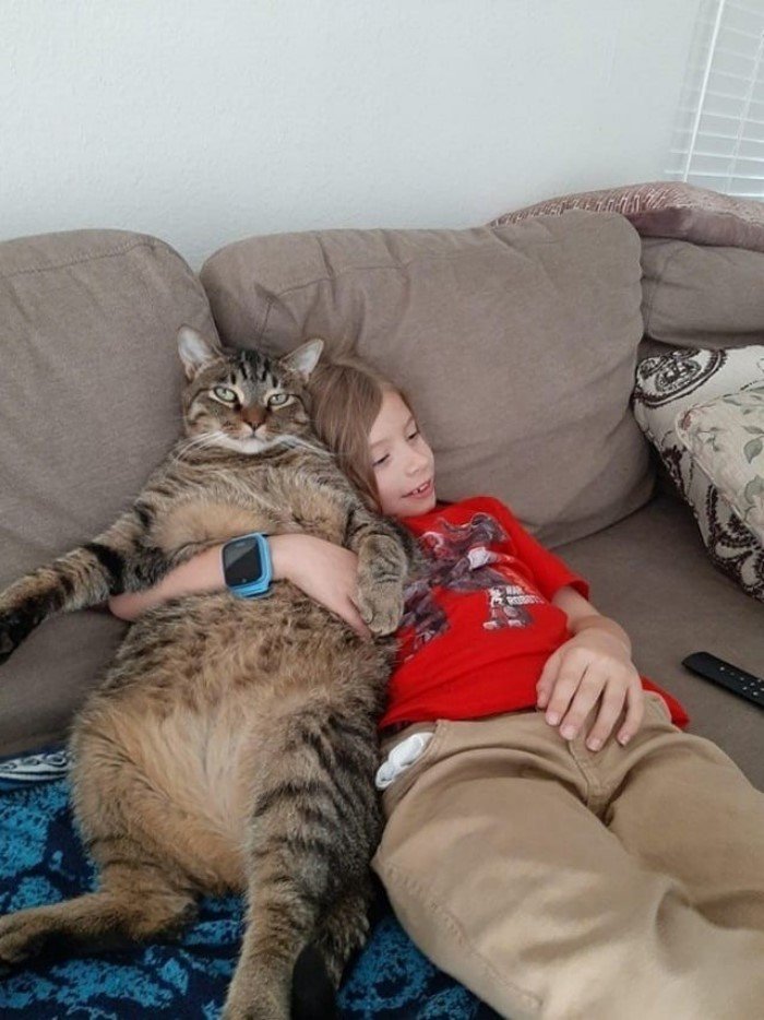 Giant Things (15 pics)