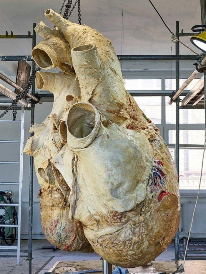 Giant Things (15 pics)