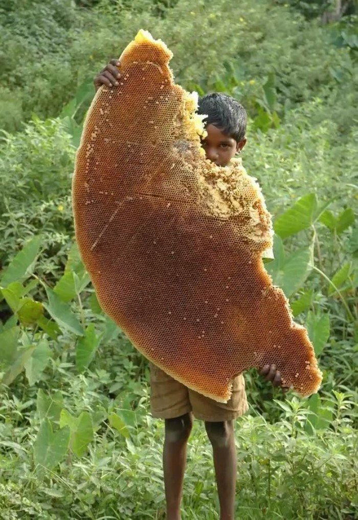 Giant Things (15 pics)