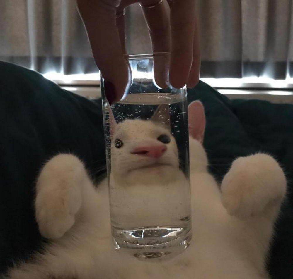 Daily Pictures. Part 1 (74 pics)