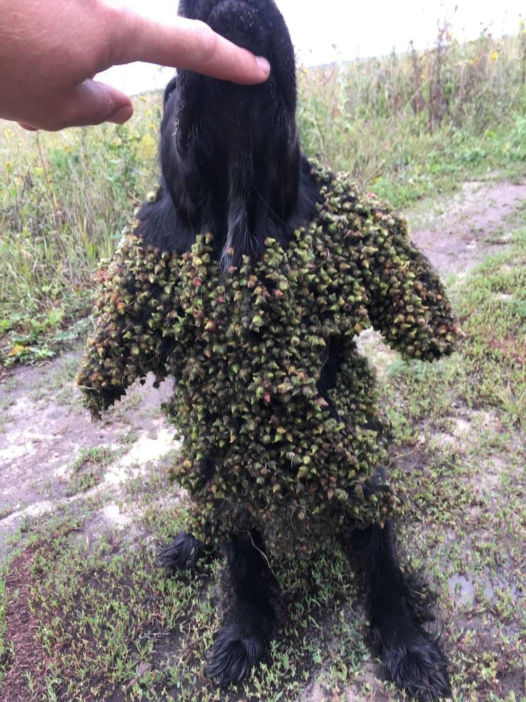 Daily Pictures. Part 1 (74 pics)