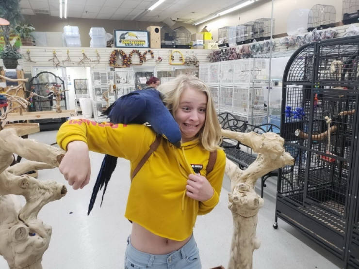 Daily Pictures. Part 1 (74 pics)