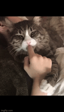 Acid GIFs, April 16 (25 gifs)