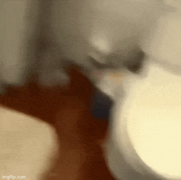 Acid GIFs, April 16 (25 gifs)