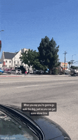 Acid GIFs, April 16 (25 gifs)