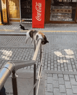 Acid GIFs, April 16 (25 gifs)