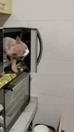 Acid GIFs, April 16 (25 gifs)