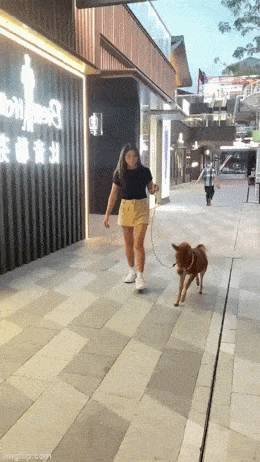 Acid GIFs, April 16 (25 gifs)
