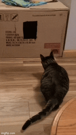 Acid GIFs, April 16 (25 gifs)