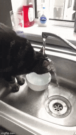 Acid GIFs, April 16 (25 gifs)