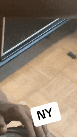 Acid GIFs, April 16 (25 gifs)