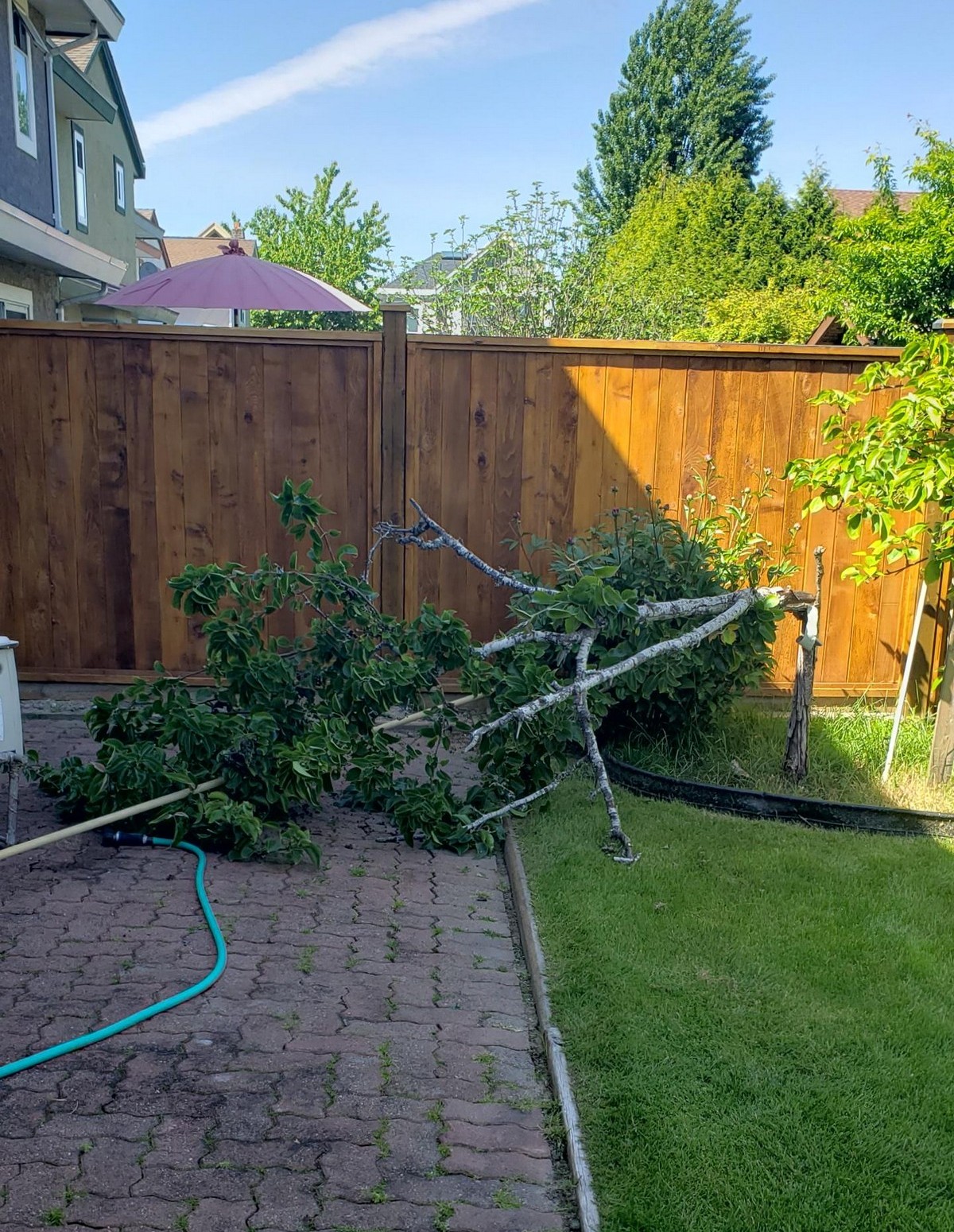 Bad Days Happen (31 pics)