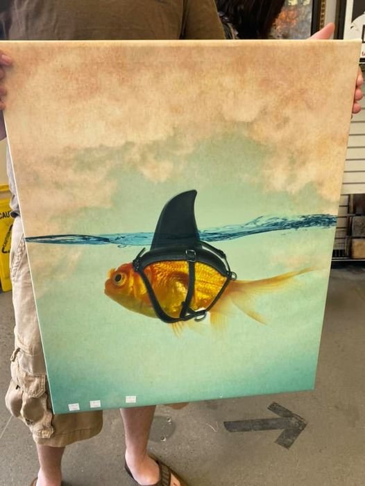 Strange Finds In Thrift Shops (15 pics)
