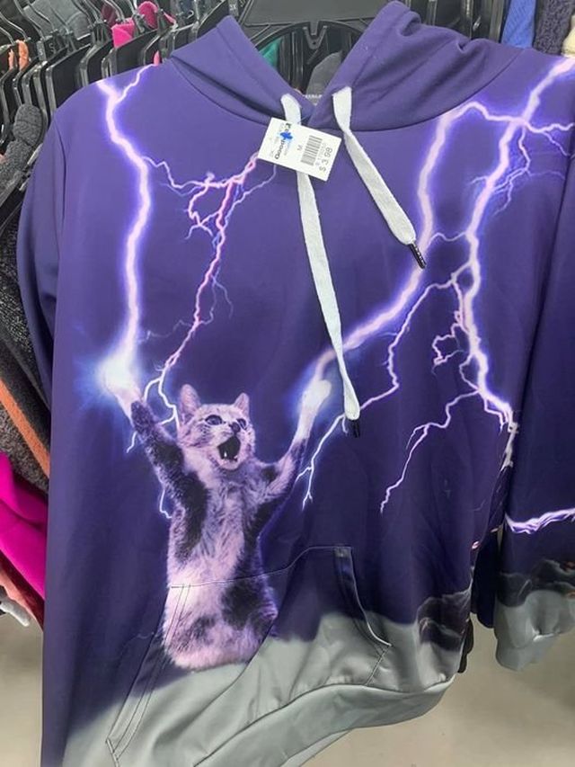 Strange Finds In Thrift Shops (15 pics)
