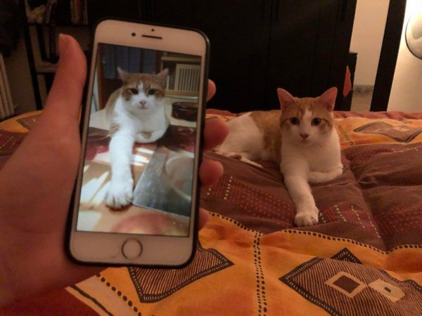 Unexpected Coincidences (15 pics) Unexpected Coincidences (15 pics)
