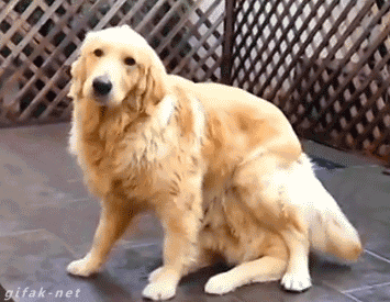 Acid GIFs, April 17 (25 gifs)