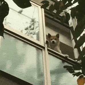 Acid GIFs, April 17 (25 gifs)
