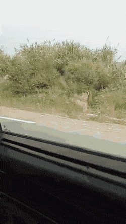 Acid GIFs, April 17 (25 gifs)