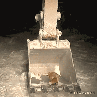 Acid GIFs, April 17 (25 gifs)